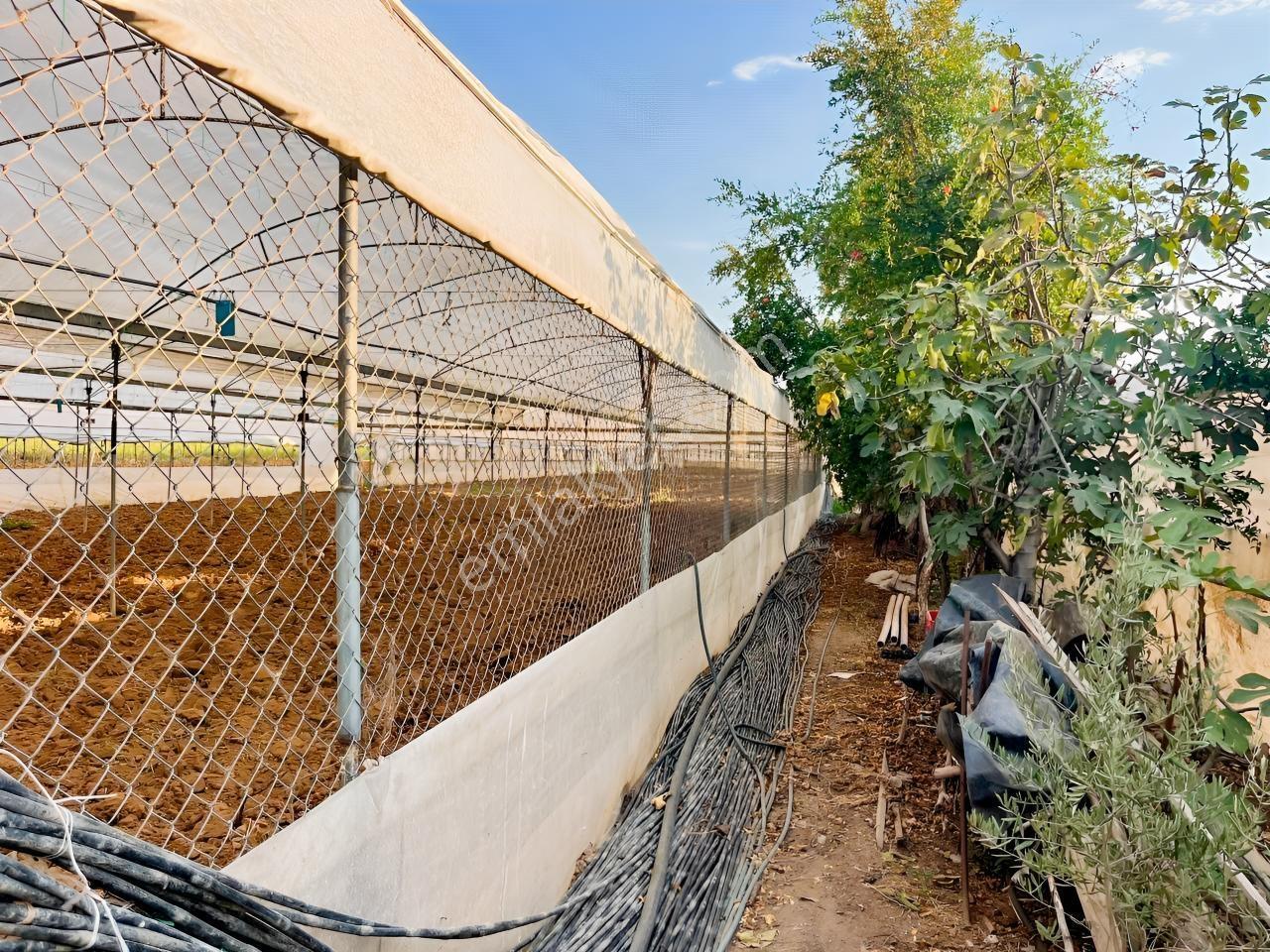 İmar Sınırına Ve Mahalle Merkezine Yakın 2.056 M2 Tarla — fotoğraf 22