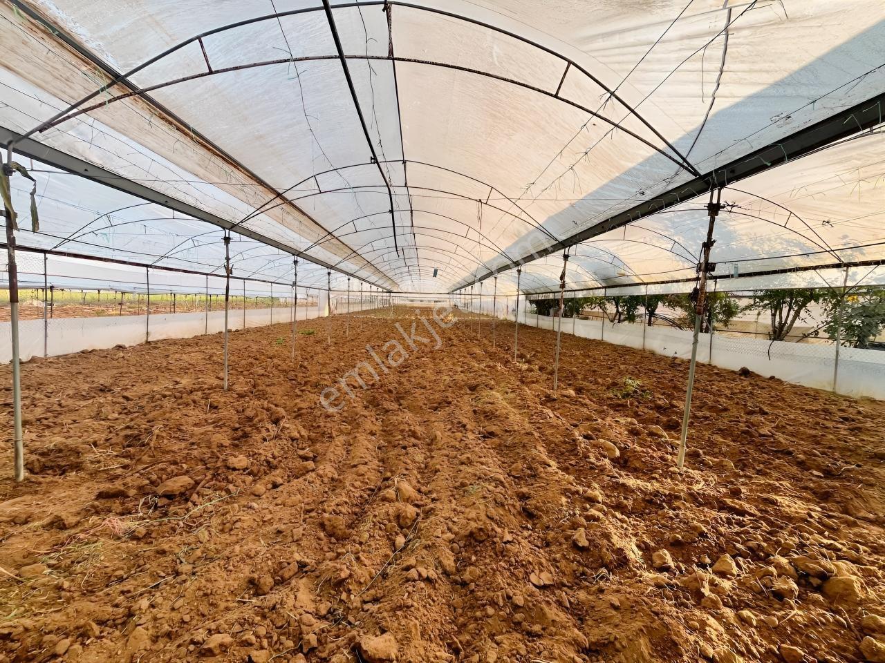 İmar Sınırına Ve Mahalle Merkezine Yakın 2.056 M2 Tarla — fotoğraf 26