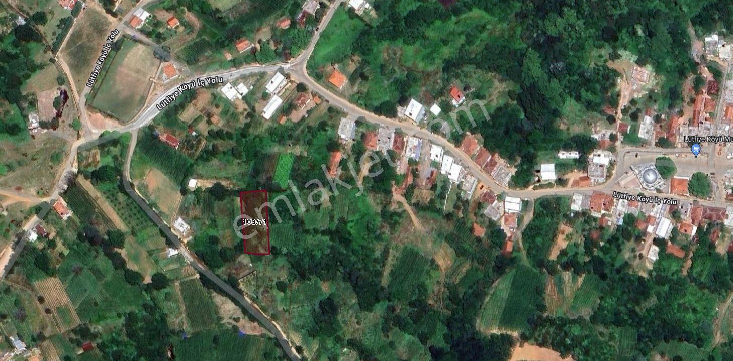 Bursa Kestel Lütfiye Köyiçi Tek Tapu 1256 M2