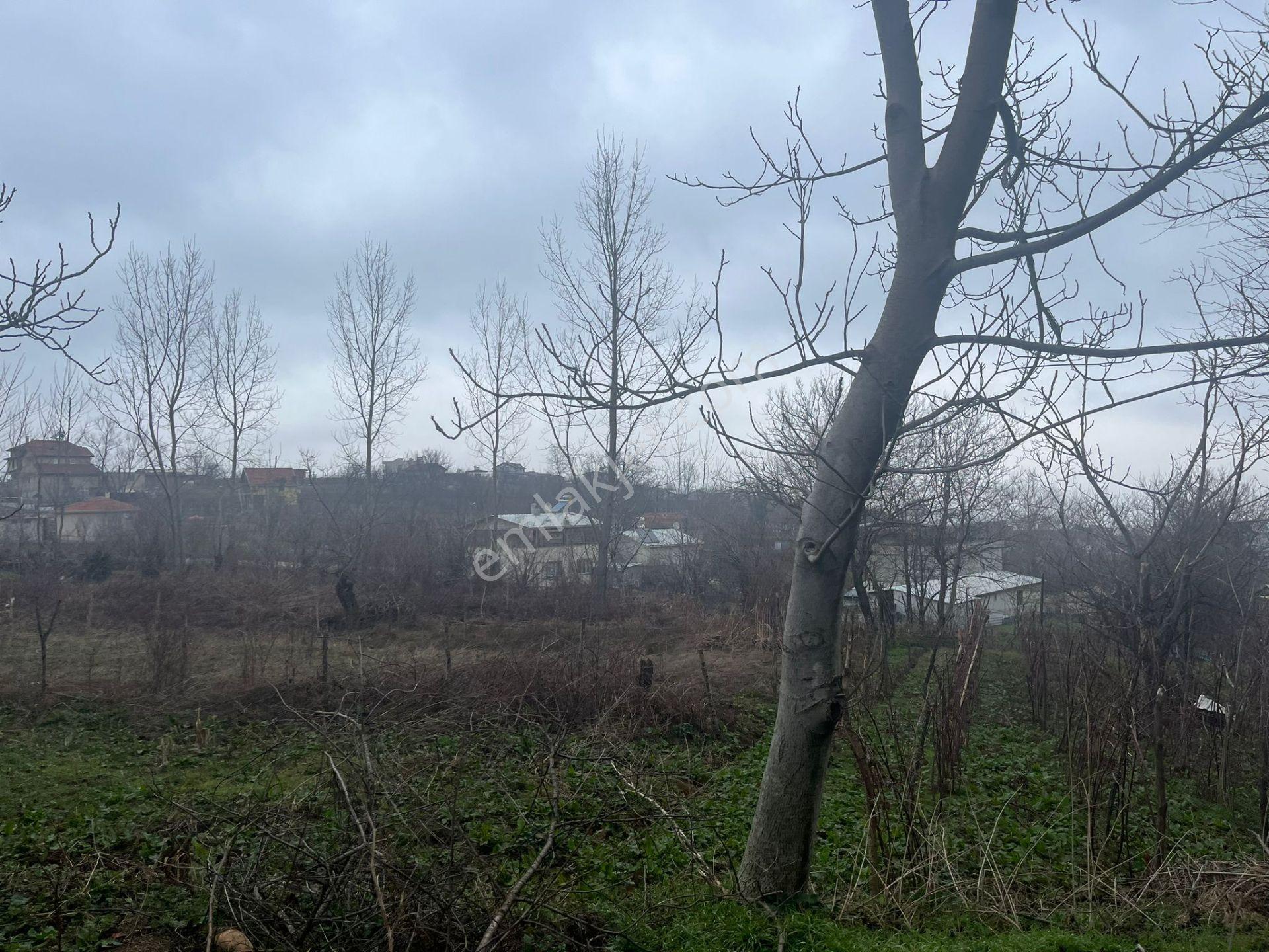 Bursa Kestel Lütfiye Köyiçi Tek Tapu 1256 M2 — fotoğraf 3