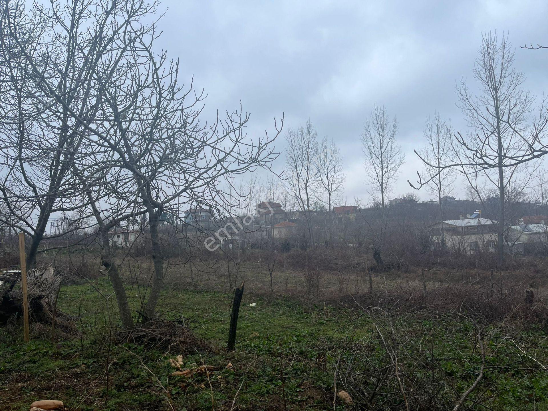 Bursa Kestel Lütfiye Köyiçi Tek Tapu 1256 M2 — fotoğraf 6