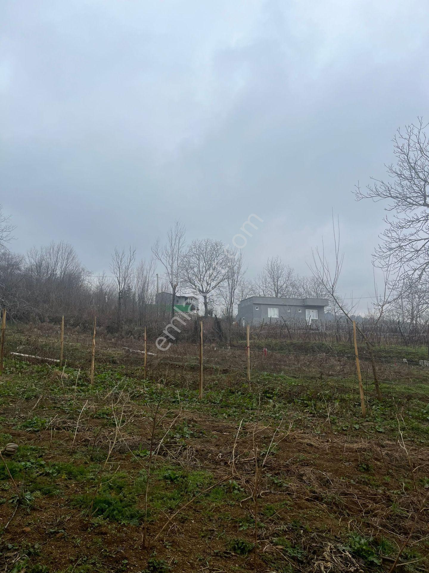 Bursa Kestel Lütfiye Köyiçi Tek Tapu 1256 M2 — fotoğraf 9