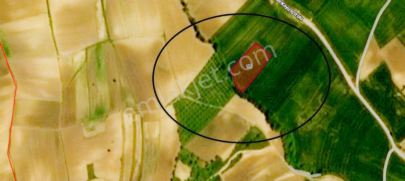 Edirne Keşan Karacaali'de 5.650 M² Satılık Tarla |yatırım Fırsat — fotoğraf 2