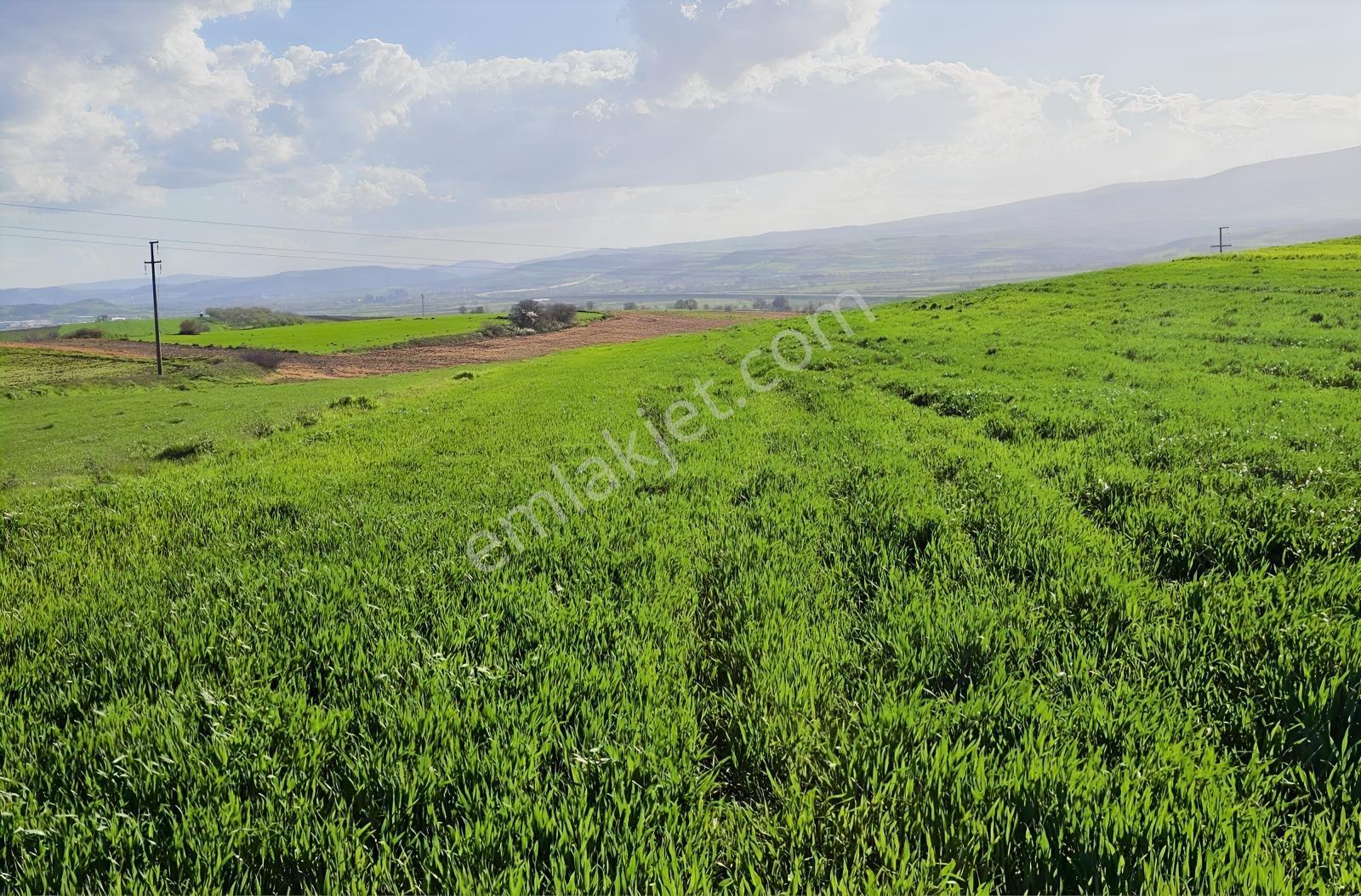 Bursa Mustafakemalpaşa Çeltikçide Uygun Fiyatlı 6.145 M² Tarla! — fotoğraf 9