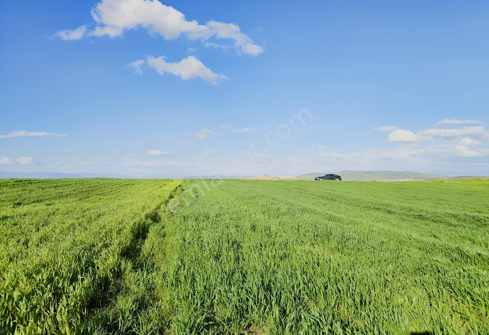 Bursa Mustafakemalpaşa Çeltikçide Uygun Fiyatlı 6.145 M² Tarla! — fotoğraf 11