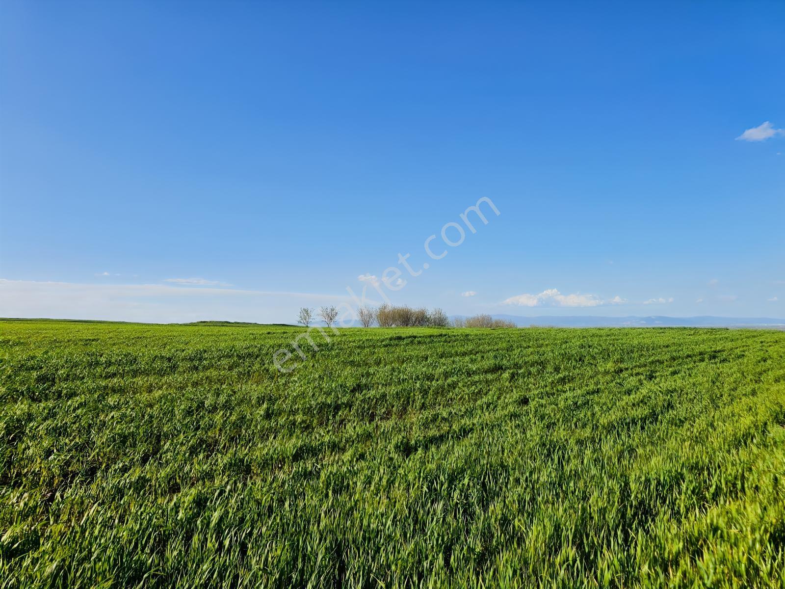 Bursa Mustafakemalpaşa Çeltikçide Uygun Fiyatlı 6.145 M² Tarla! — fotoğraf 15