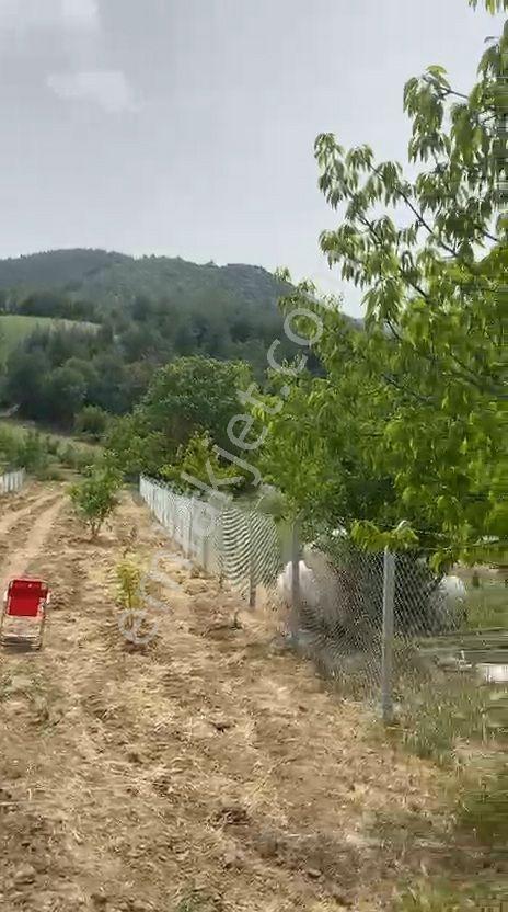 Umurbey Köyünde 884m2 Etrafı Telörgü İle Çevrili.mustakil Parsel — fotoğraf 3