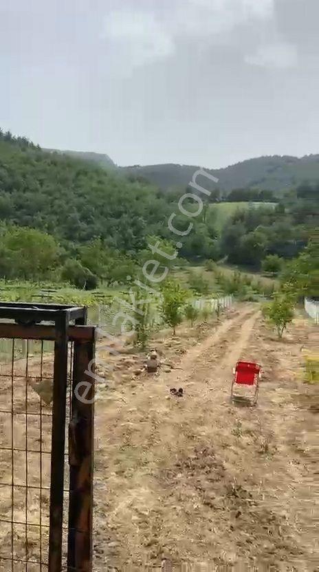 Umurbey Köyünde 884m2 Etrafı Telörgü İle Çevrili.mustakil Parsel — fotoğraf 4