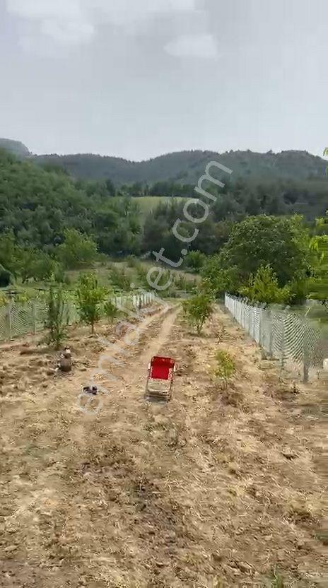 Umurbey Köyünde 884m2 Etrafı Telörgü İle Çevrili.mustakil Parsel — fotoğraf 5