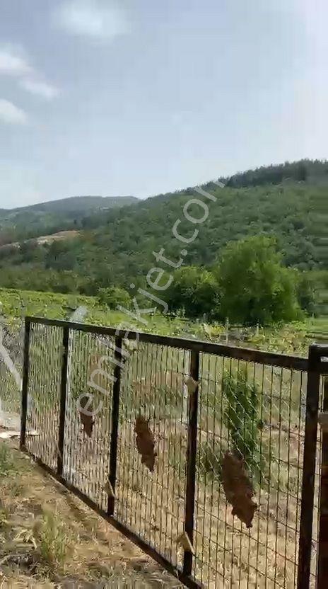 Umurbey Köyünde 884m2 Etrafı Telörgü İle Çevrili.mustakil Parsel — fotoğraf 6