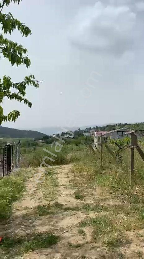 Umurbey Köyünde 884m2 Etrafı Telörgü İle Çevrili.mustakil Parsel — fotoğraf 7
