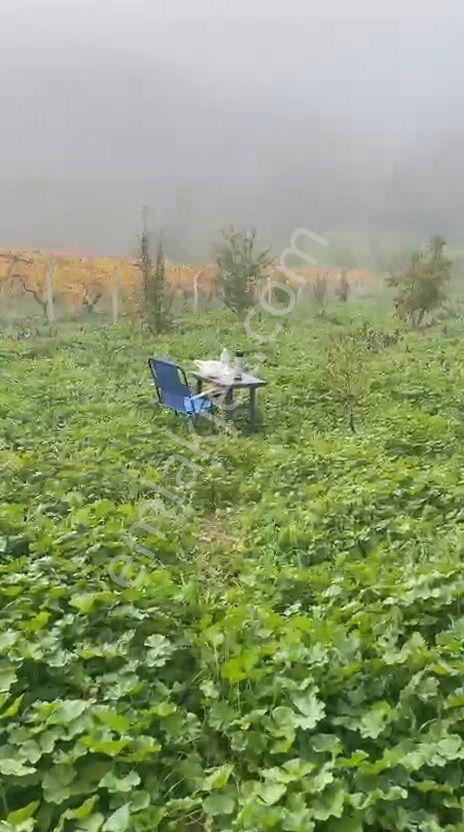 Umurbey Köyünde 884m2 Etrafı Telörgü İle Çevrili.mustakil Parsel — fotoğraf 8