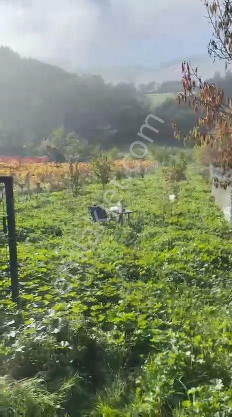 Umurbey Köyünde 884m2 Etrafı Telörgü İle Çevrili.mustakil Parsel — fotoğraf 9