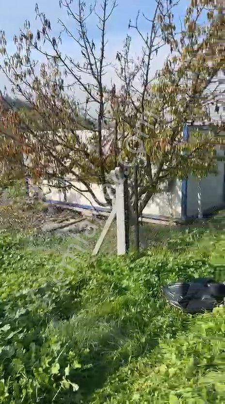 Umurbey Köyünde 884m2 Etrafı Telörgü İle Çevrili.mustakil Parsel — fotoğraf 11