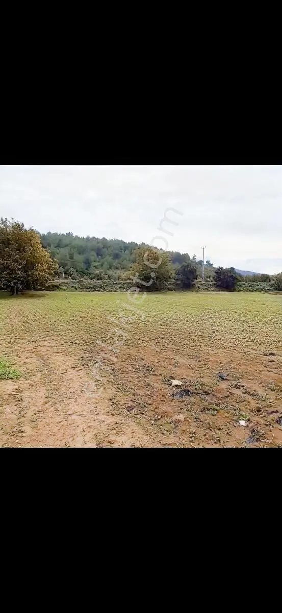 Sakarya Geyve Bayat Mahallesinde 994m2 Asfalta Cepheli Tarla — fotoğraf 2