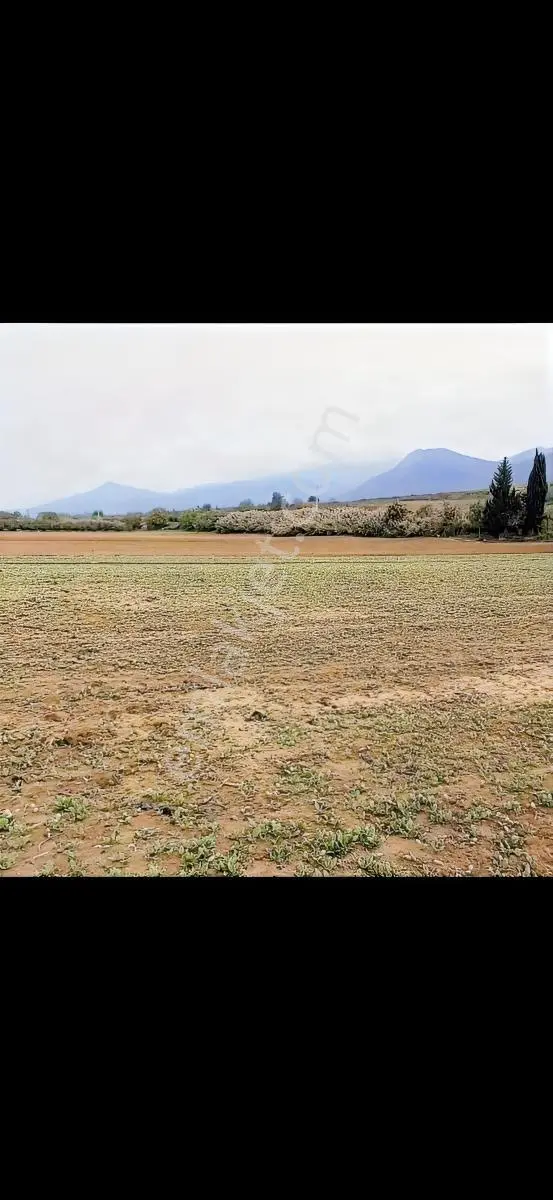 Sakarya Geyve Bayat Mahallesinde 994m2 Asfalta Cepheli Tarla — fotoğraf 5