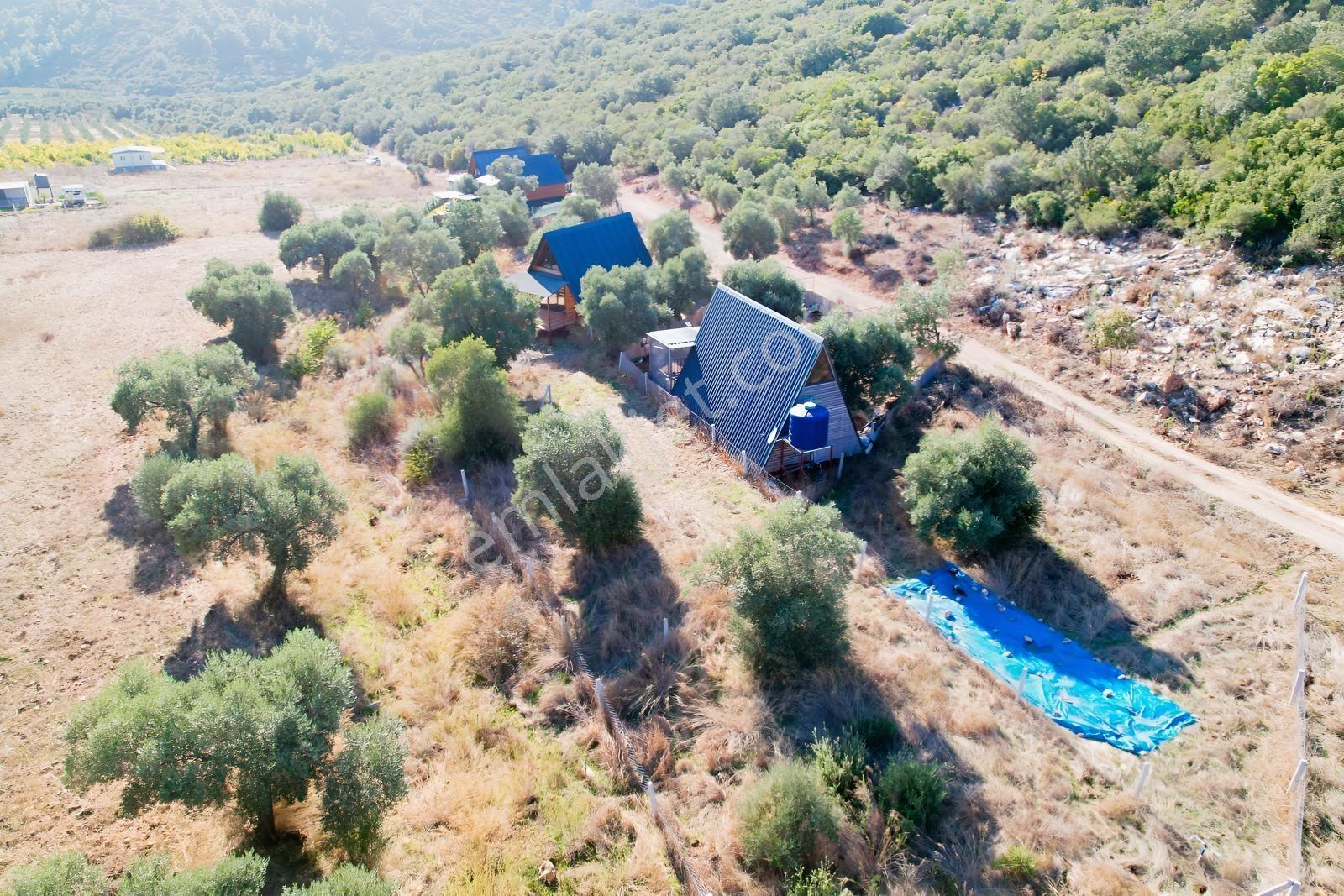 Pasifik'ten Menderes Gölova'da Hisse Tapulu Parseller — fotoğraf 6