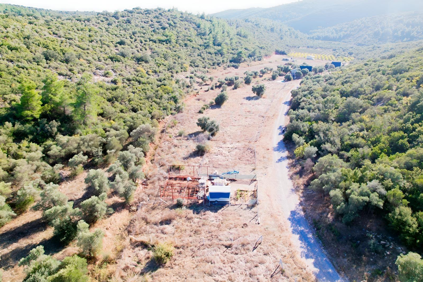 Pasifik'ten Menderes Gölova'da Hisse Tapulu Parseller — fotoğraf 9