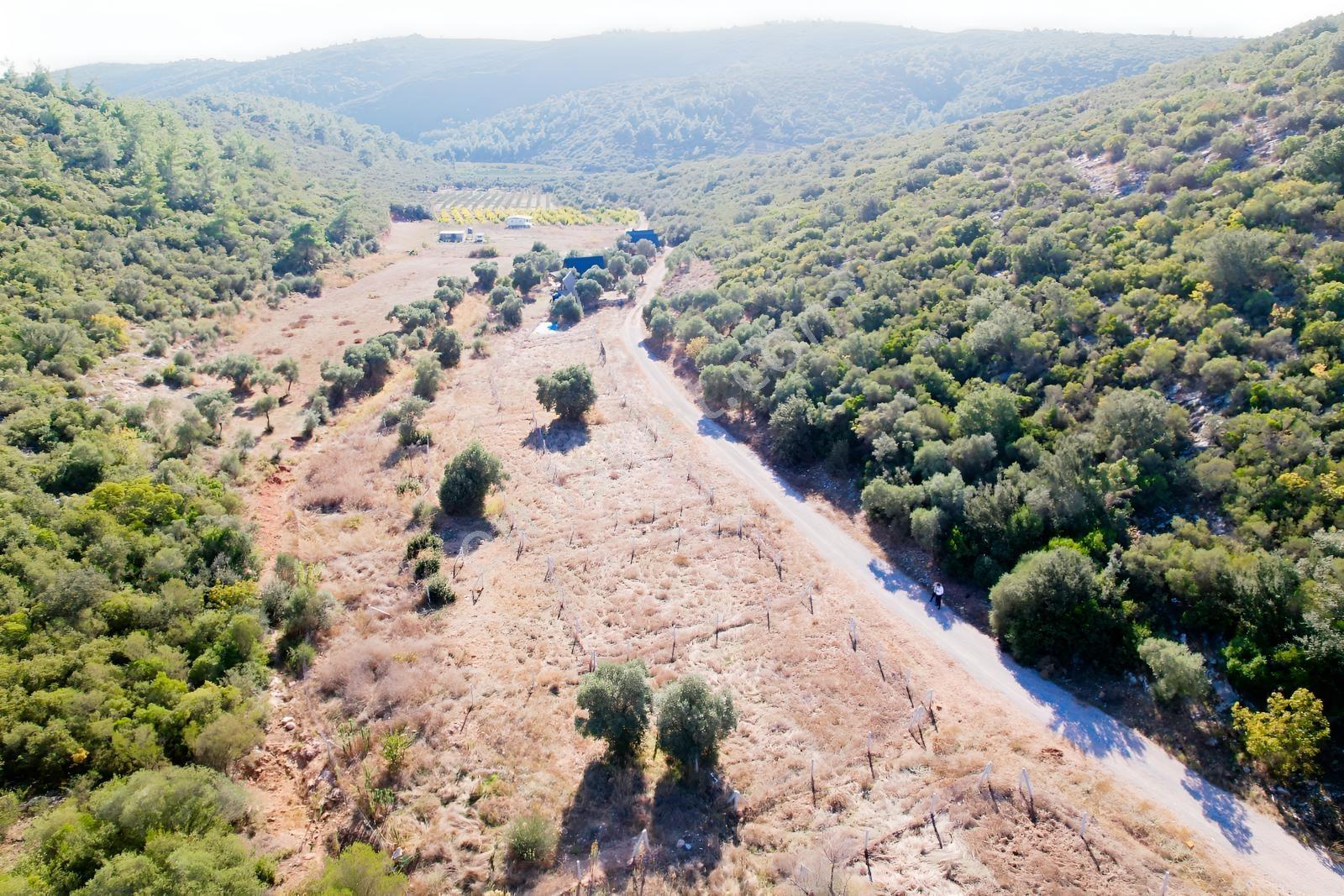 Pasifik'ten Menderes Gölova'da Hisse Tapulu Parseller — fotoğraf 10