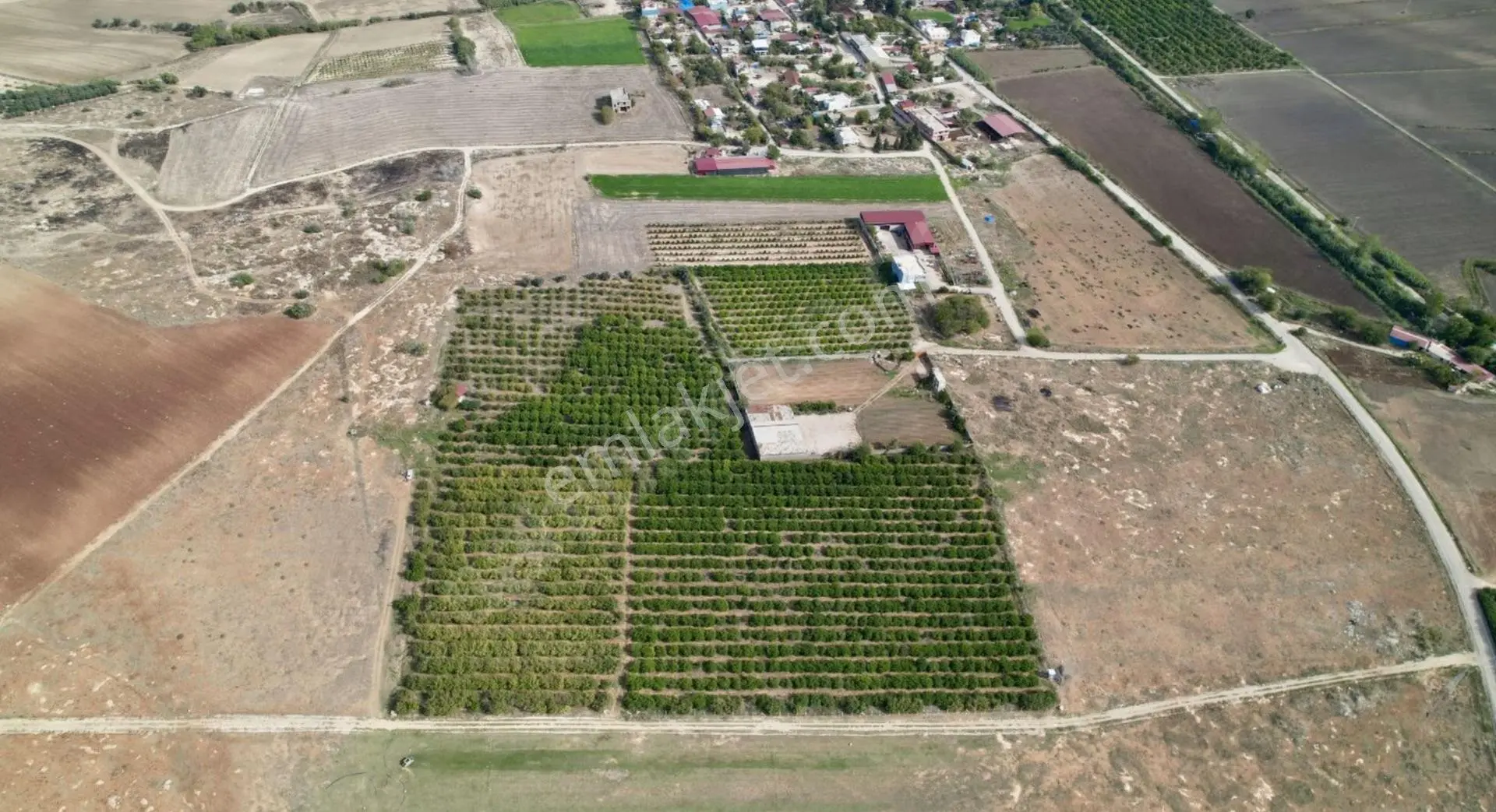 Yüreğir* Çotlu Tek Tapu 29945m2 Limon Nar *kiralık Bahçe* Veya Satlık 700 Adet Mayer 700nar-400enter — fotoğraf 3