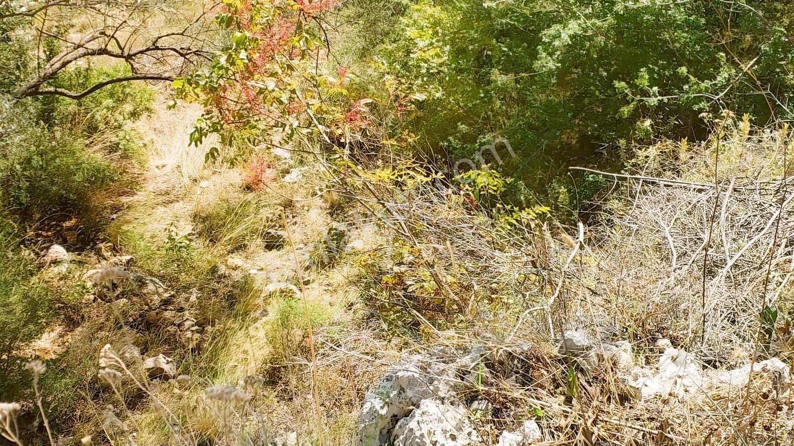 Fethiye Gökçeovacıkta Panaromik Deniz Manzaralı Satılık Arazi — fotoğraf 12