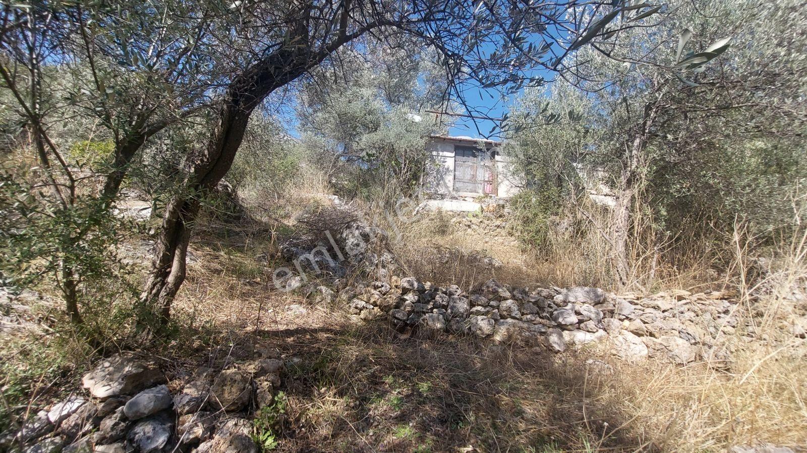Fethiye Gökçeovacıkta Panaromik Deniz Manzaralı Satılık Arazi — fotoğraf 13
