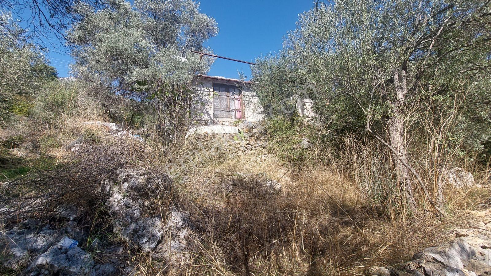 Fethiye Gökçeovacıkta Panaromik Deniz Manzaralı Satılık Arazi — fotoğraf 14