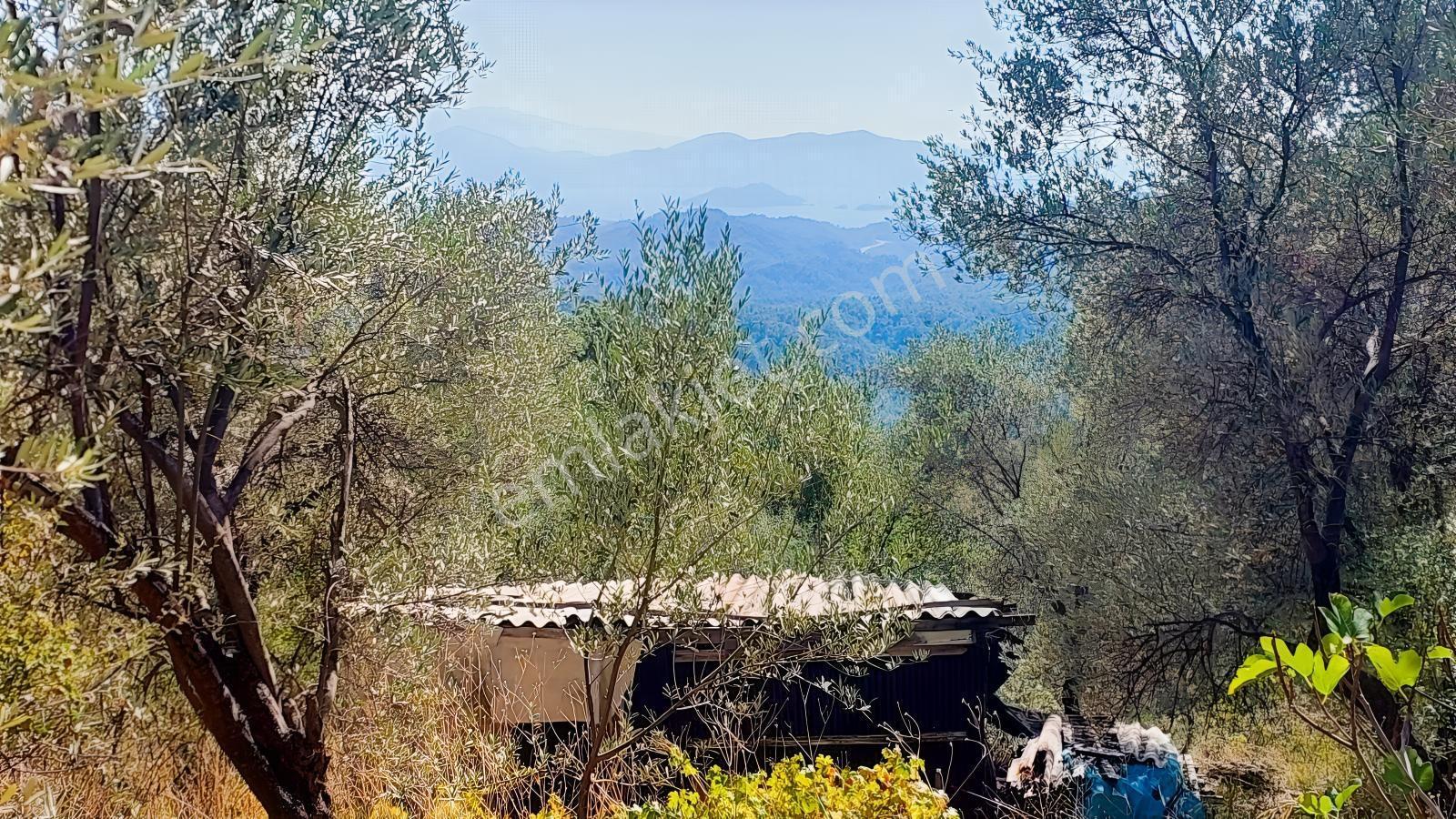 Fethiye Gökçeovacıkta Panaromik Deniz Manzaralı Satılık Arazi — fotoğraf 16