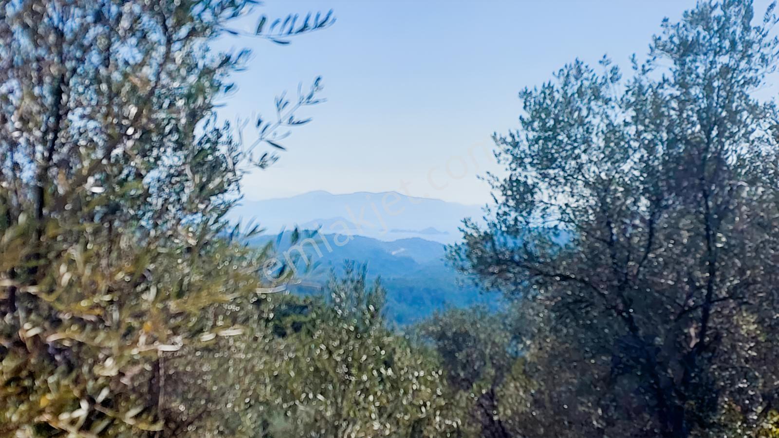 Fethiye Gökçeovacıkta Panaromik Deniz Manzaralı Satılık Arazi — fotoğraf 17