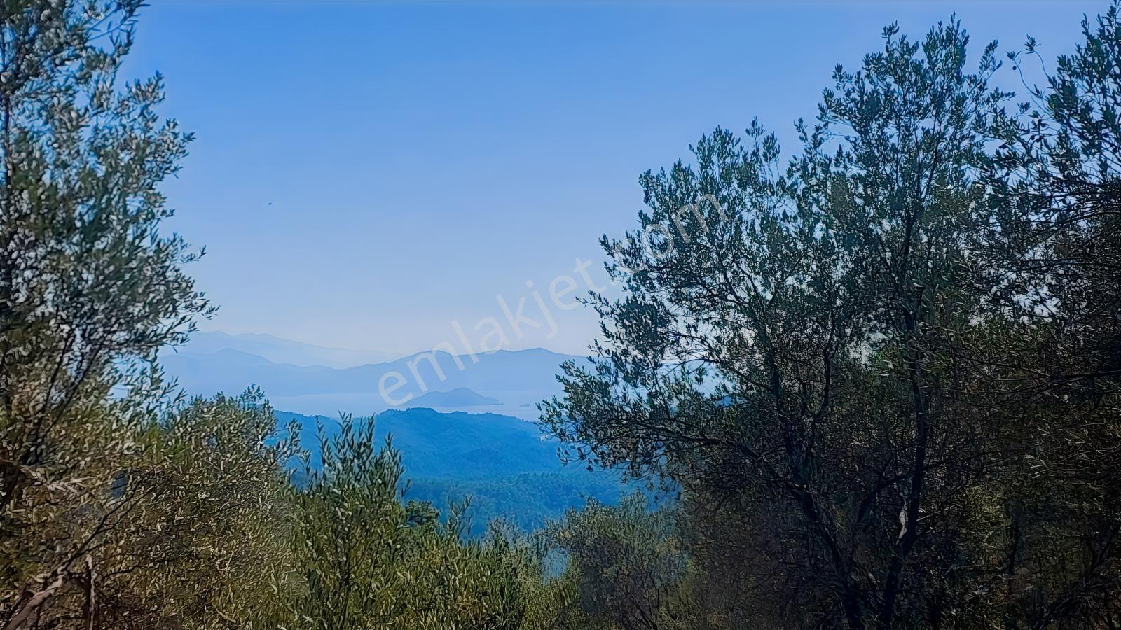 Fethiye Gökçeovacıkta Panaromik Deniz Manzaralı Satılık Arazi — fotoğraf 18