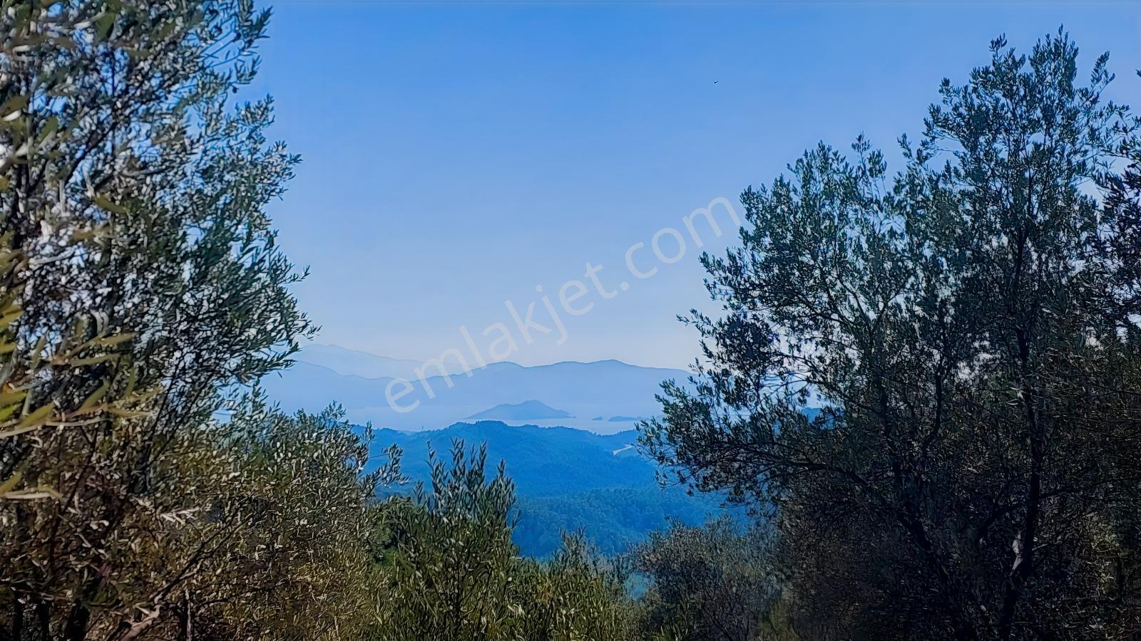 Fethiye Gökçeovacıkta Panaromik Deniz Manzaralı Satılık Arazi — fotoğraf 22