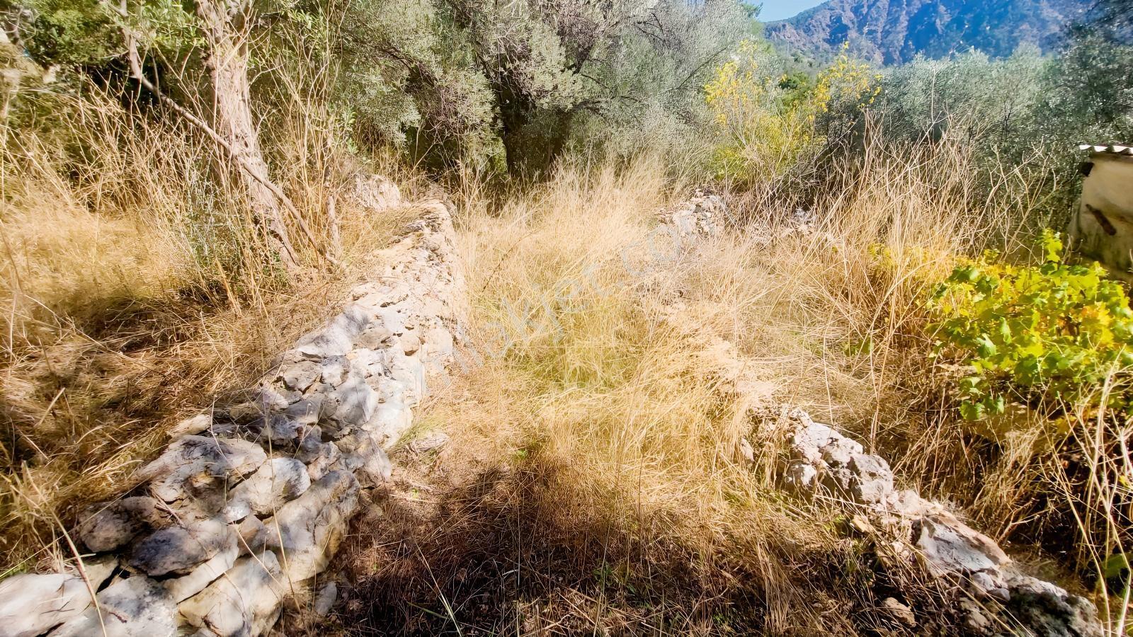 Fethiye Gökçeovacıkta Panaromik Deniz Manzaralı Satılık Arazi — fotoğraf 24