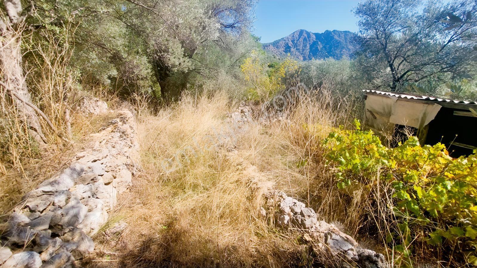 Fethiye Gökçeovacıkta Panaromik Deniz Manzaralı Satılık Arazi — fotoğraf 27