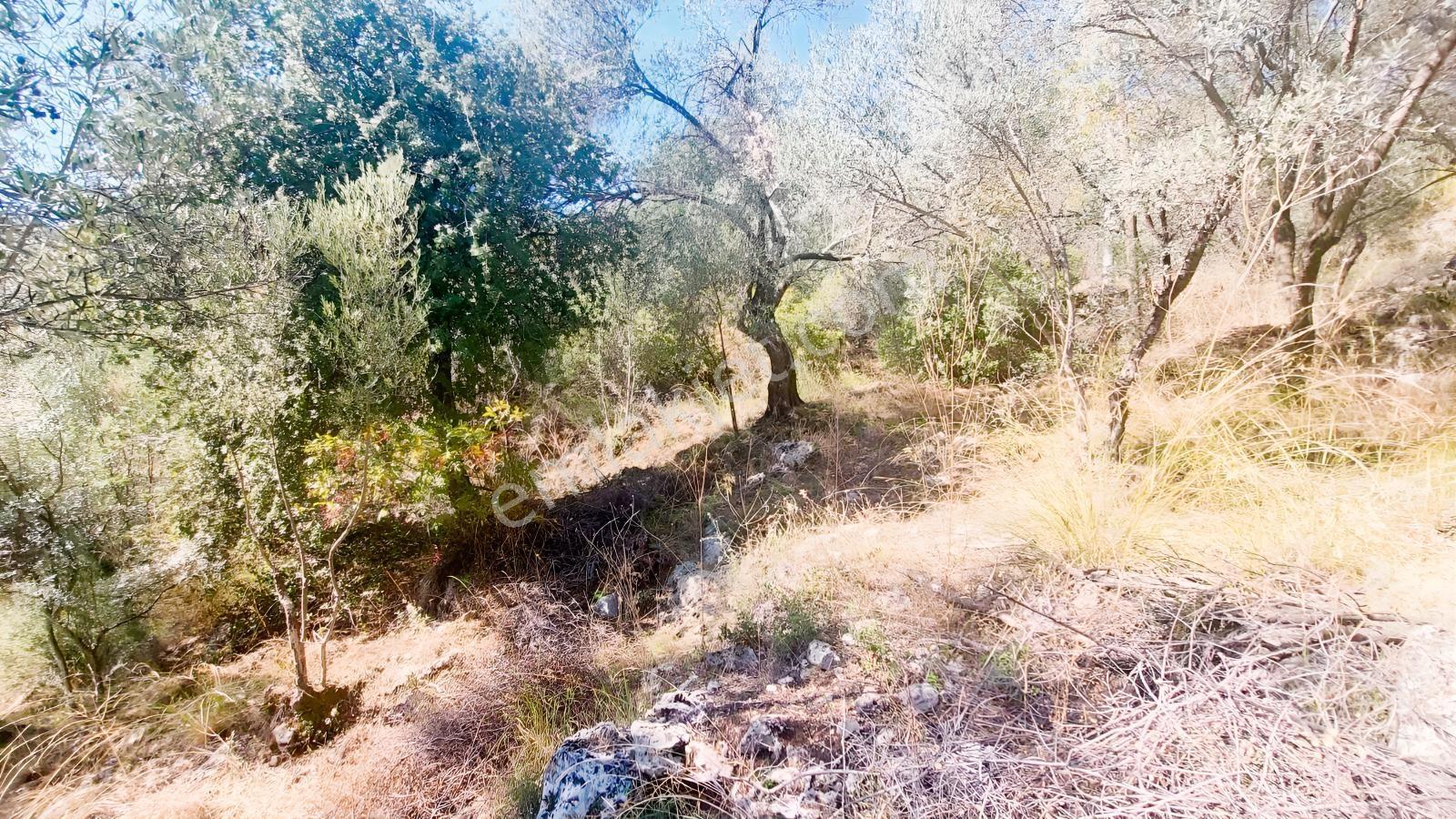 Fethiye Gökçeovacıkta Panaromik Deniz Manzaralı Satılık Arazi — fotoğraf 31