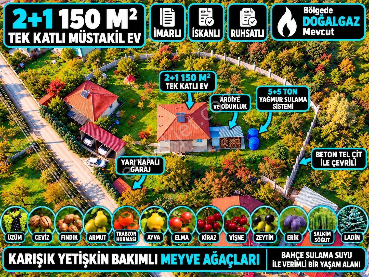 Sakarya Akkaya 2.242 M2 Arsa İçinde 150m² Müstakil Ev Ve Bahçesi — fotoğraf 2