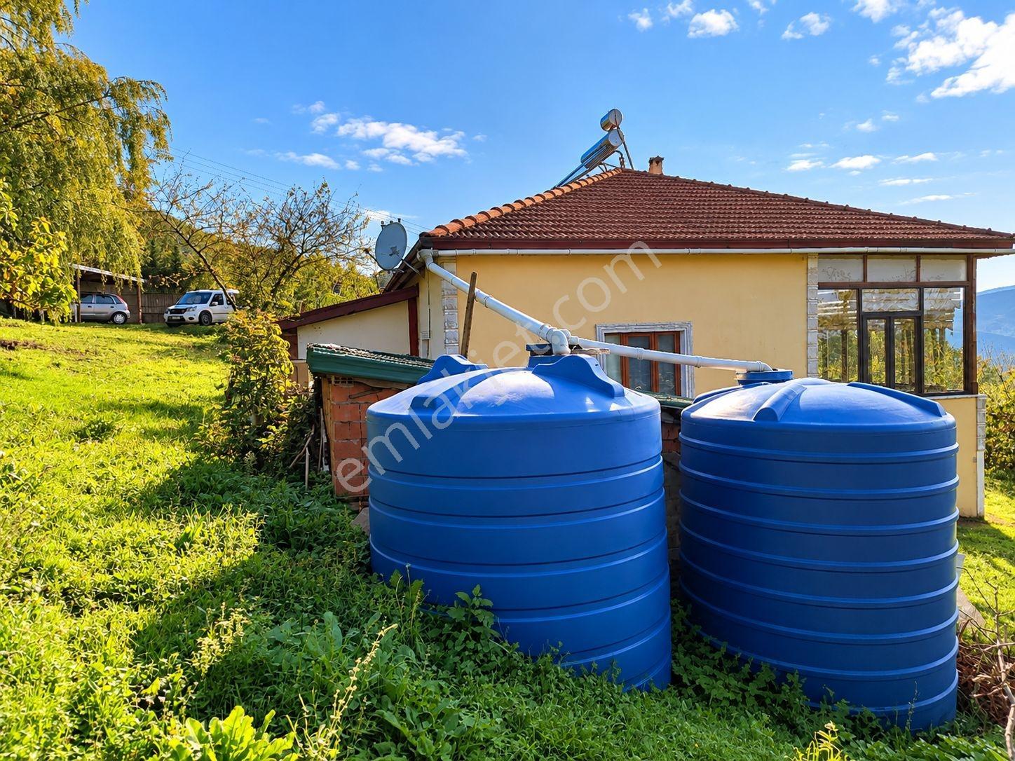 Sakarya Akkaya 2.242 M2 Arsa İçinde 150m² Müstakil Ev Ve Bahçesi — fotoğraf 5