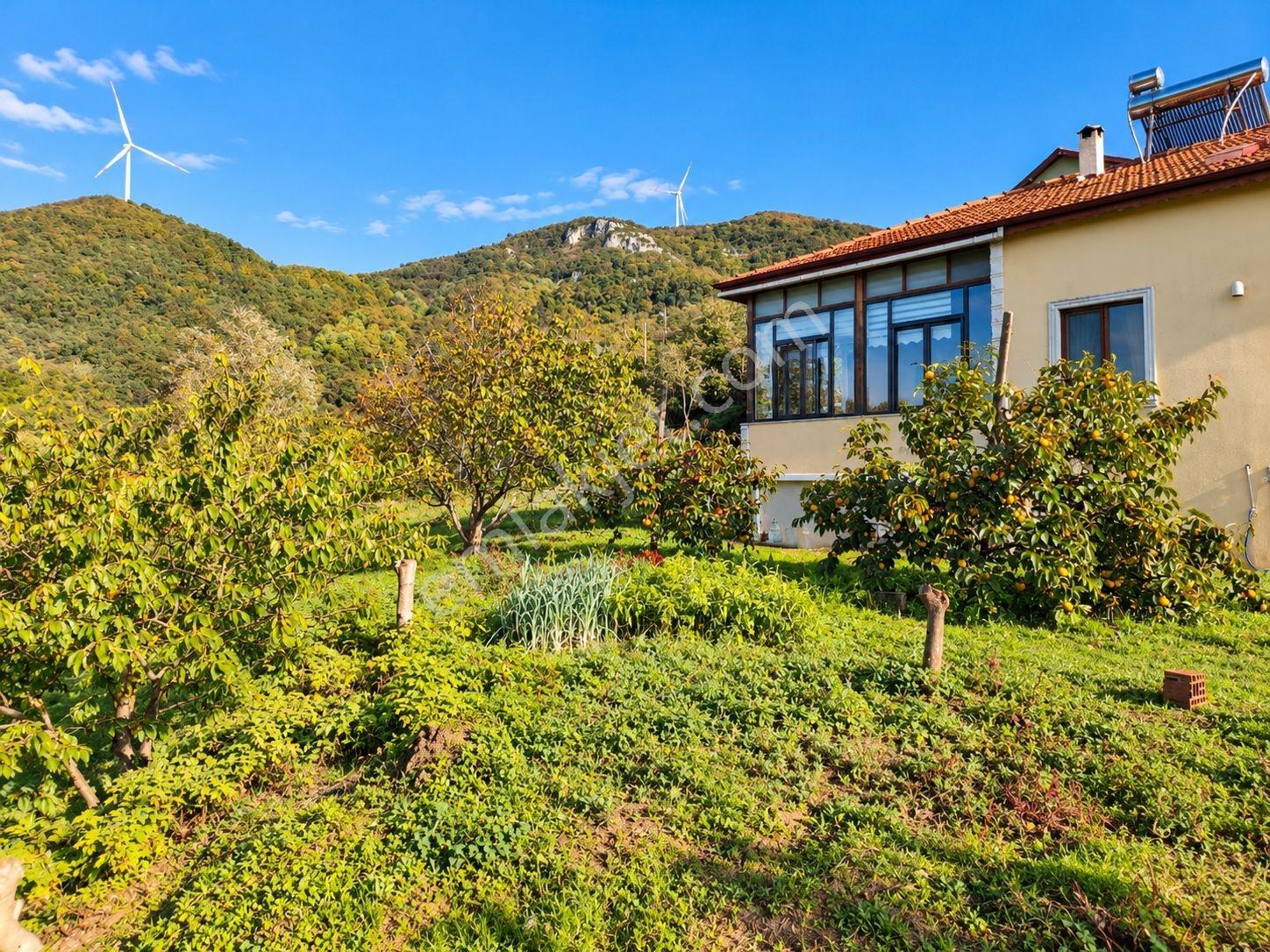 Sakarya Akkaya 2.242 M2 Arsa İçinde 150m² Müstakil Ev Ve Bahçesi — fotoğraf 7