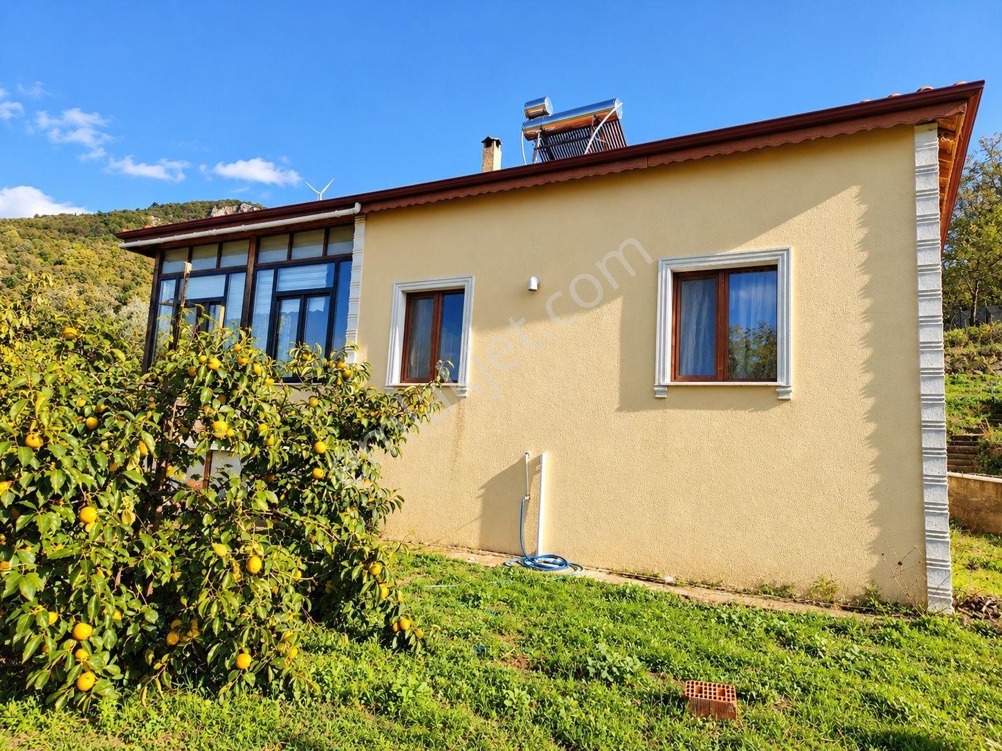 Sakarya Akkaya 2.242 M2 Arsa İçinde 150m² Müstakil Ev Ve Bahçesi — fotoğraf 8
