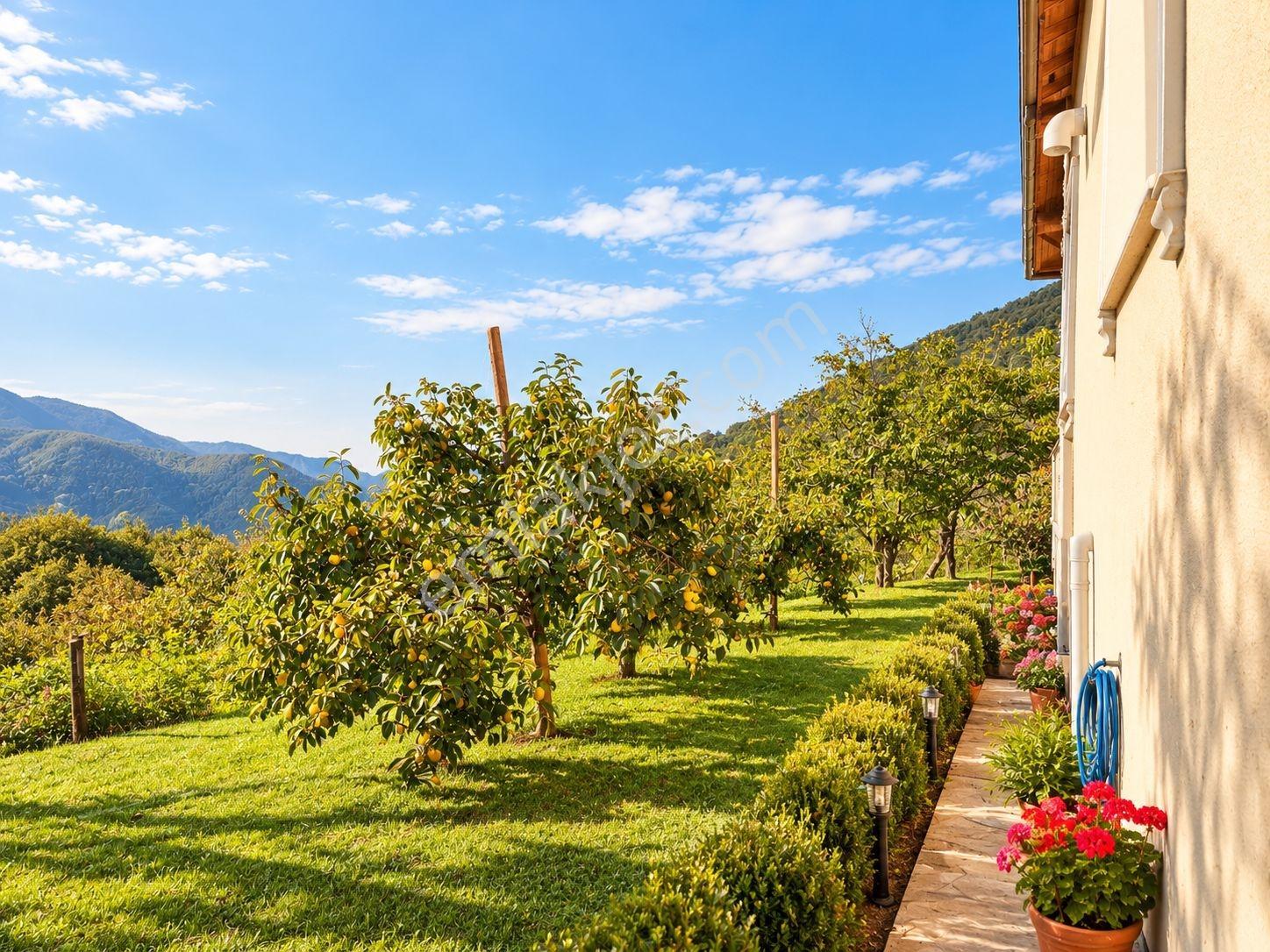 Sakarya Akkaya 2.242 M2 Arsa İçinde 150m² Müstakil Ev Ve Bahçesi — fotoğraf 10