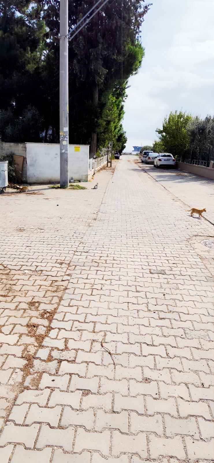 Parlar Emlaktan Mükemmel Fiyat. Fırsat Ürünü. Harika Bir Site. — fotoğraf 33