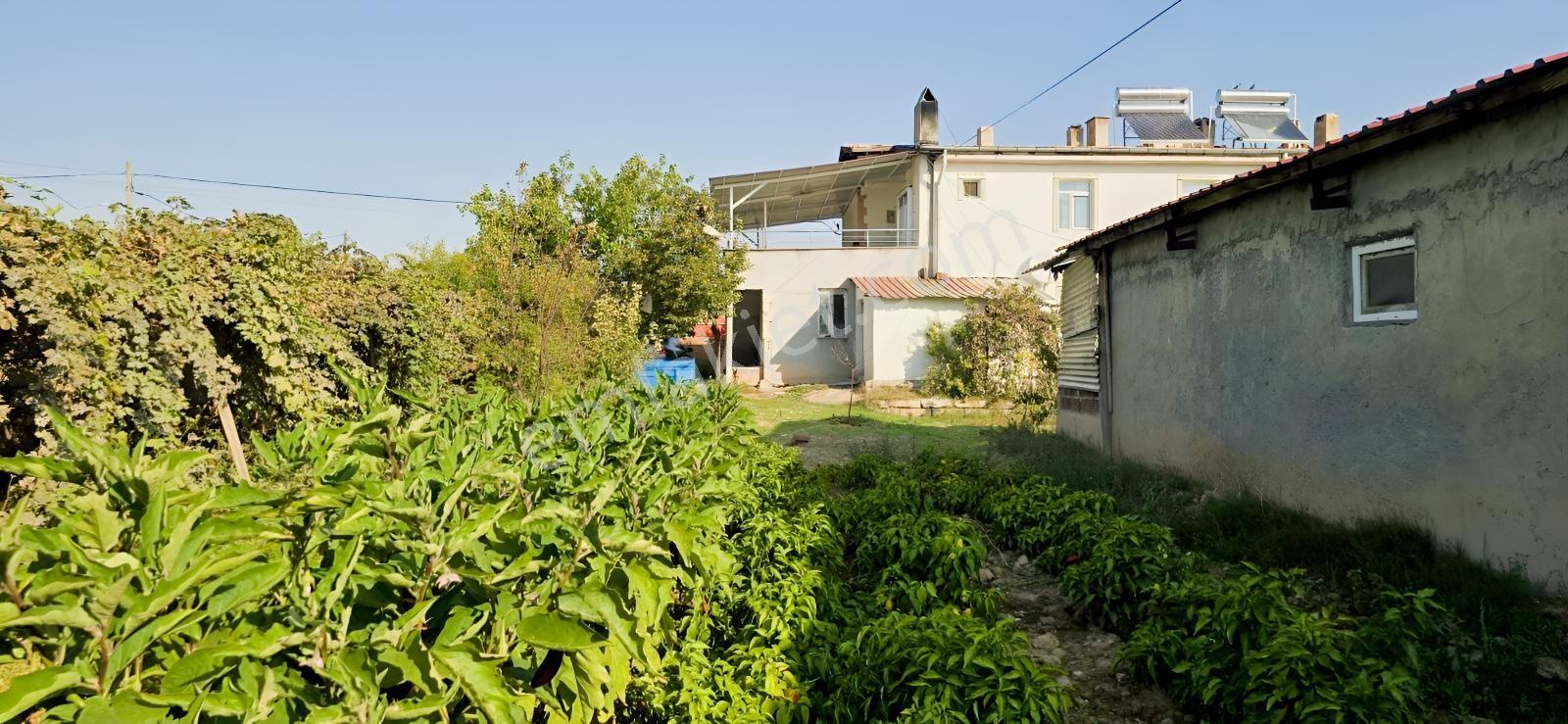 1000 M²arsa İçinde 2 Katlı Ruhsatlı Müstakil Ev 40 Başlık Besi — fotoğraf 2