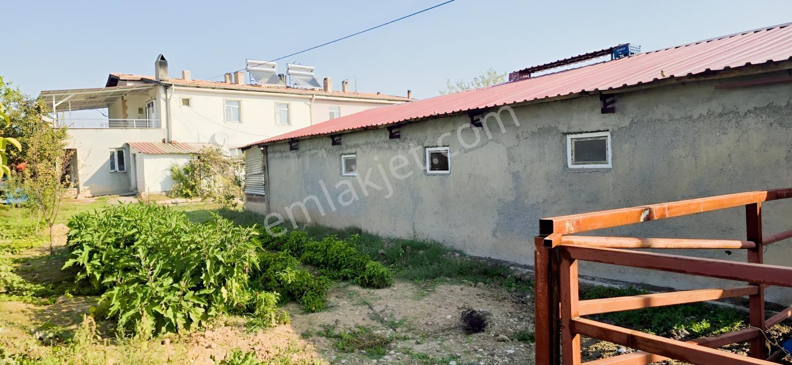 1000 M²arsa İçinde 2 Katlı Ruhsatlı Müstakil Ev 40 Başlık Besi — fotoğraf 3