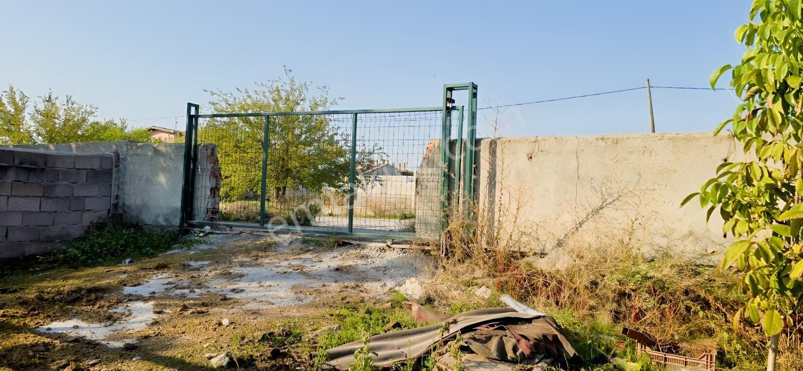 1000 M²arsa İçinde 2 Katlı Ruhsatlı Müstakil Ev 40 Başlık Besi — fotoğraf 5