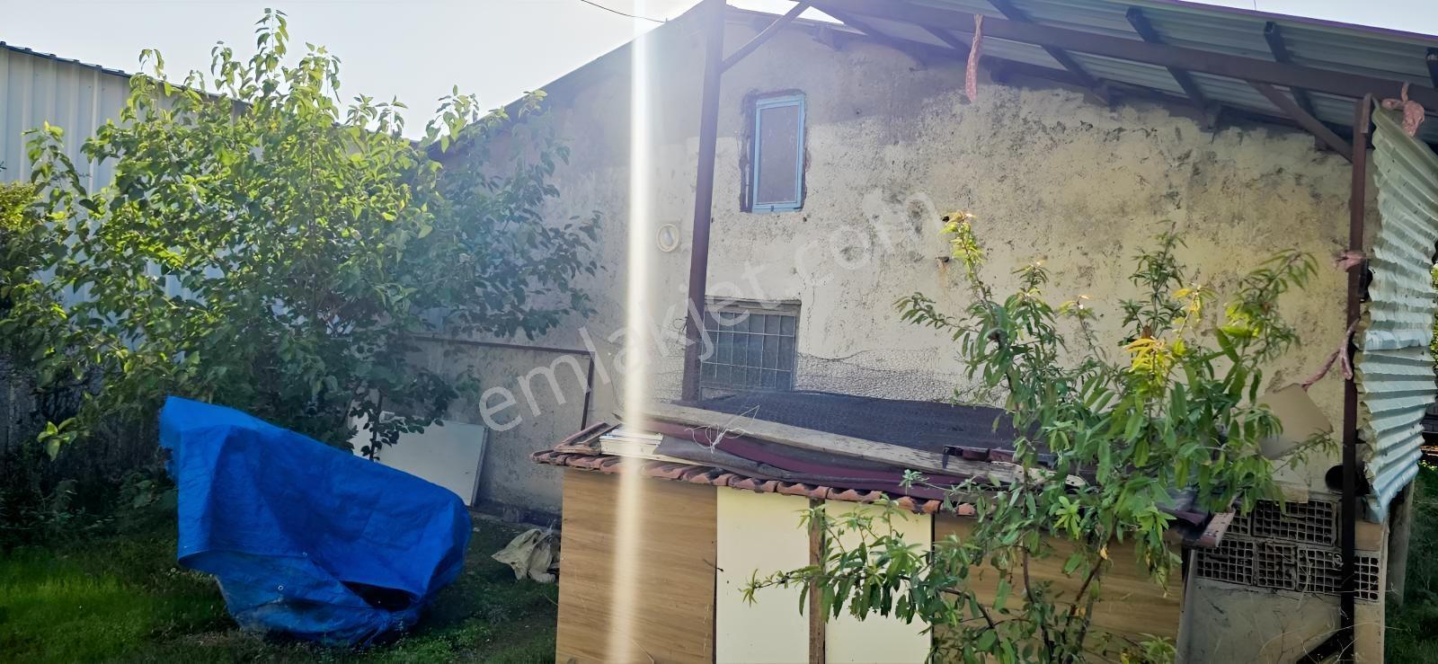 1000 M²arsa İçinde 2 Katlı Ruhsatlı Müstakil Ev 40 Başlık Besi — fotoğraf 7