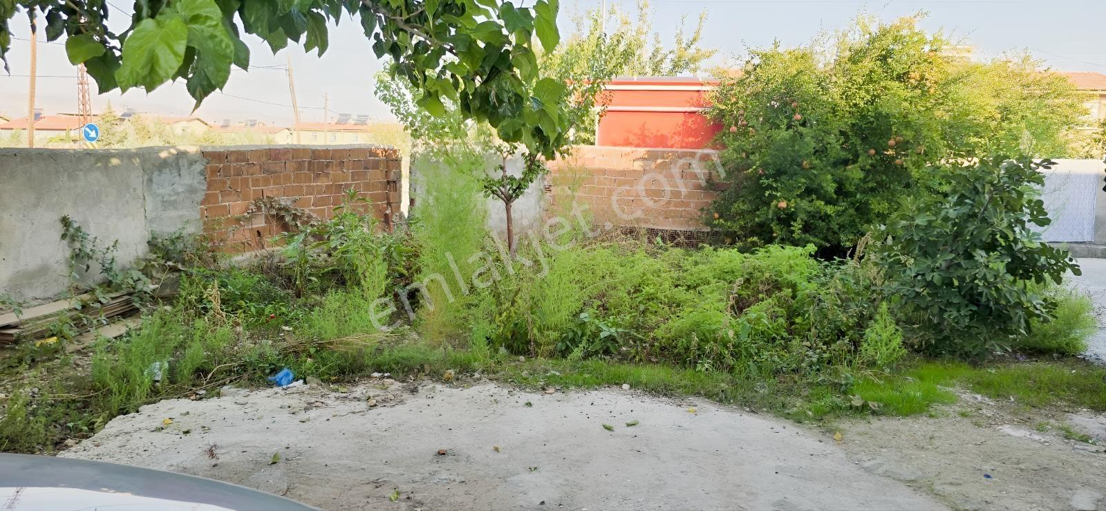 1000 M²arsa İçinde 2 Katlı Ruhsatlı Müstakil Ev 40 Başlık Besi — fotoğraf 9