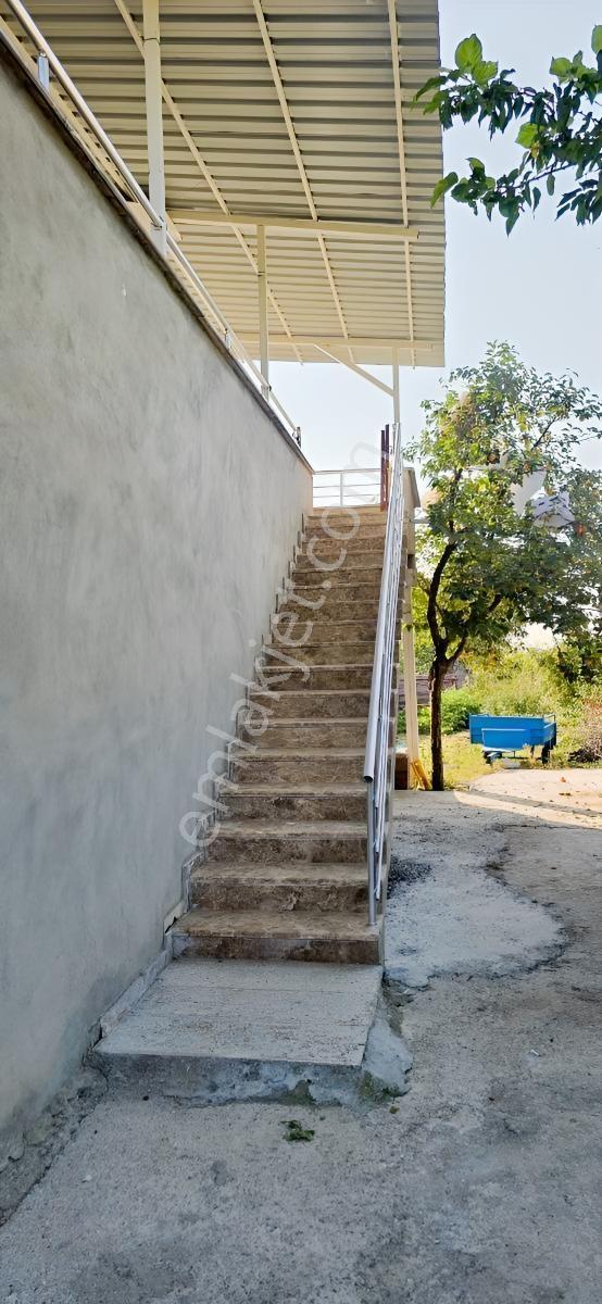 1000 M²arsa İçinde 2 Katlı Ruhsatlı Müstakil Ev 40 Başlık Besi — fotoğraf 11