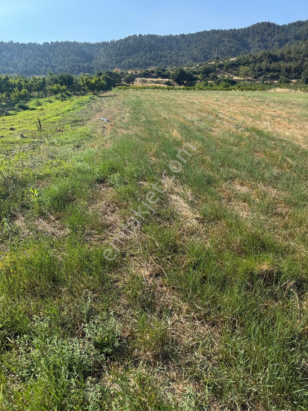 Bursa Yıldırım Kestel Gölcük Mah. 1.860 M2 Elektirik ,suyu Mevcut Olan Asfalt Yola Cepheli — fotoğraf 8