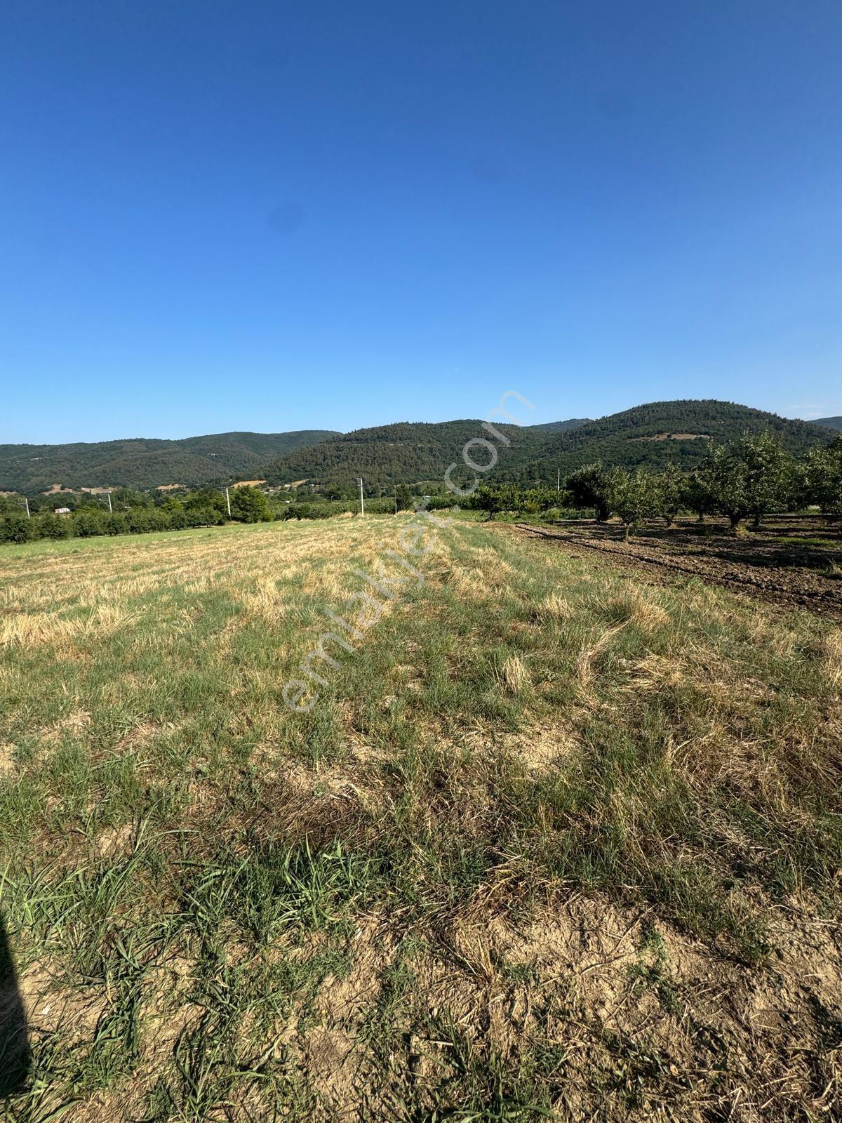 Bursa Yıldırım Kestel Gölcük Mah. 1.860 M2 Elektirik ,suyu Mevcut Olan Asfalt Yola Cepheli — fotoğraf 10