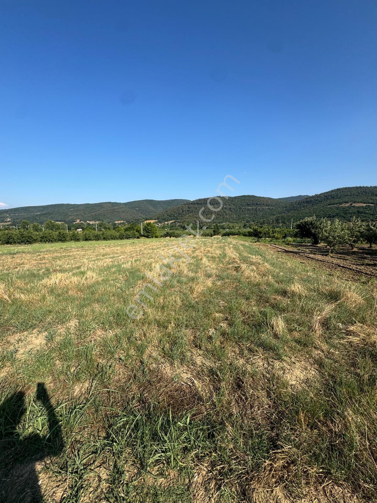 Bursa Yıldırım Kestel Gölcük Mah. 1.860 M2 Elektirik ,suyu Mevcut Olan Asfalt Yola Cepheli — fotoğraf 14