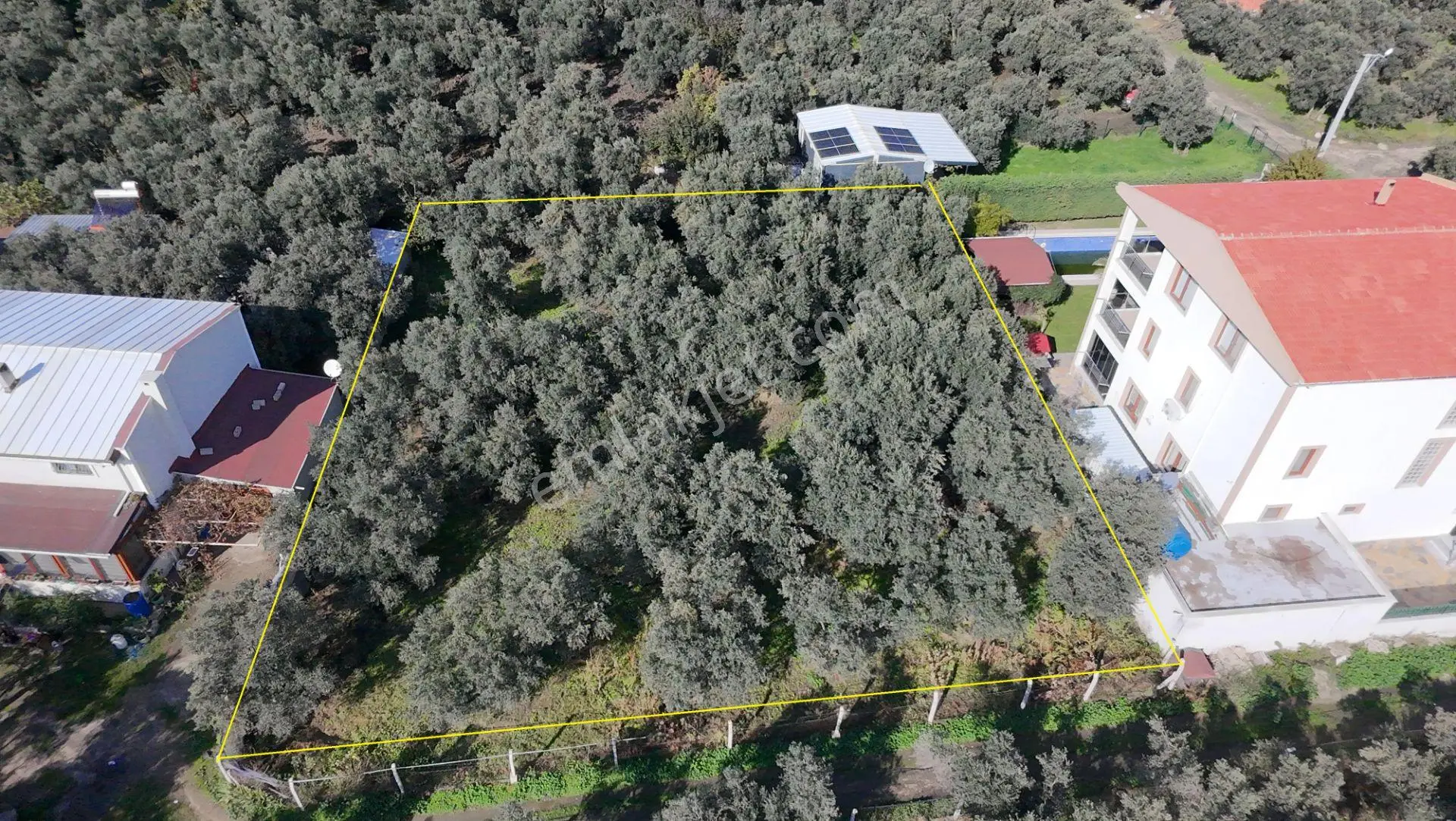 Balıkesir Erdek Narlı Mah. 940 M2 Satılık Zeytinlik Merkezi Konumda Villa İmarlı